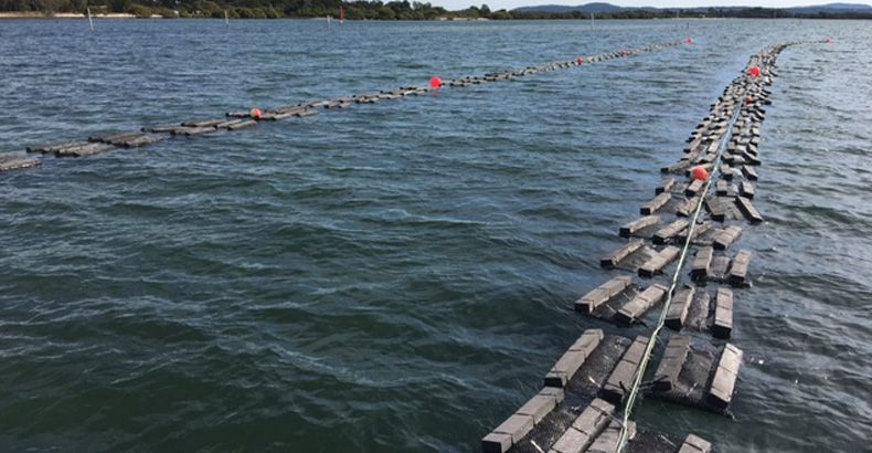 ShouAn Aquaculture Cage Introduction