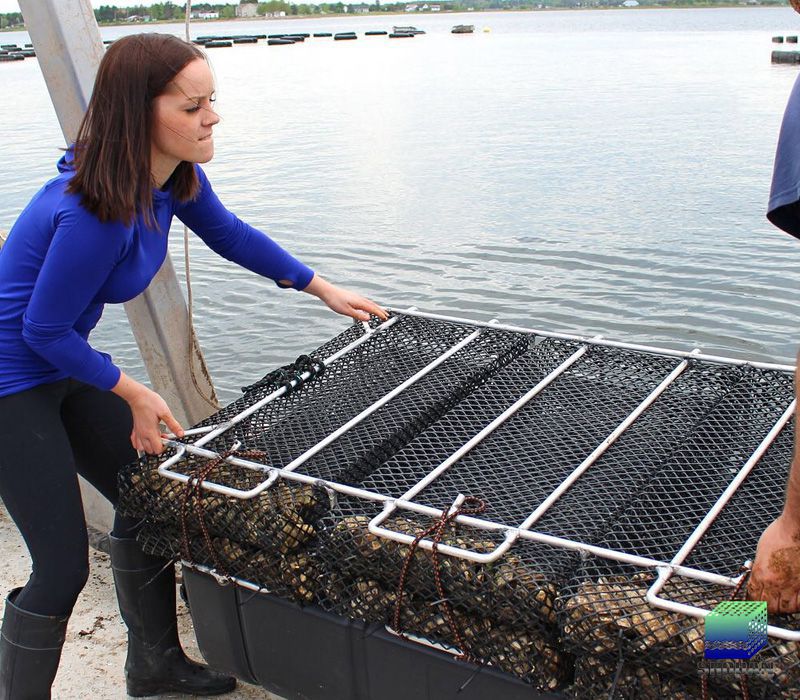 Aluminum Oyster Growing Cage